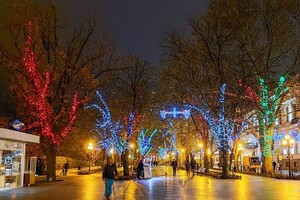 На Приморском бульваре включили новогоднюю иллюминацию