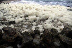 Морское капучино: одесское побережье укрыла удивительная пена