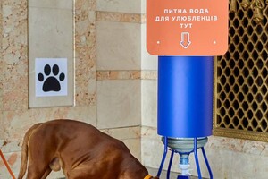 На одесском вокзале появятся поилки для животных