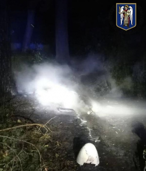 Київ третю ніч поспіль атакували безпілотники: знищено близько десятка дронів