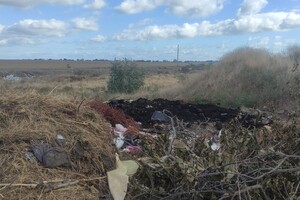 В Одесской области обнаружили еще одну огромную свалку