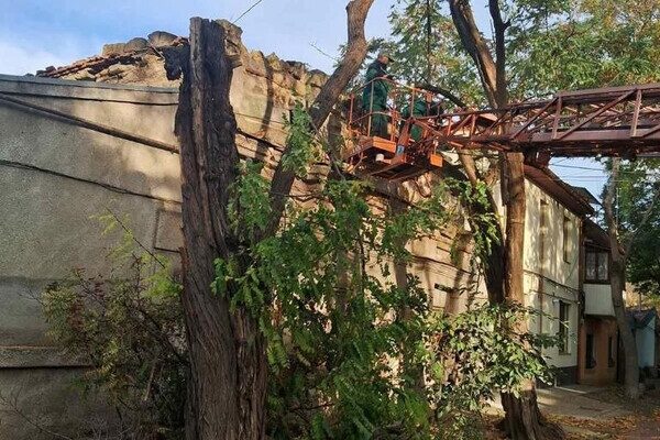 Ветер в Одессе повалил 71 дерево в Одессе