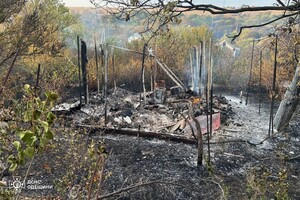 В Одесской области вспыхнул масштабный пожар: горели 15 дачных домов, пострадала женщина