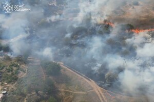 В Одесской области вспыхнул масштабный пожар: горели 15 дачных домов, пострадала женщина