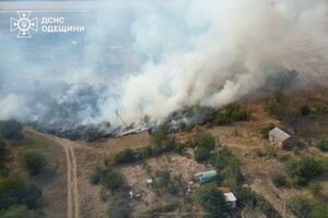 В Одесской области вспыхнул масштабный пожар: горели 15 дачных домов, пострадала женщина