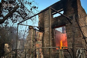 В Одесской области вспыхнул масштабный пожар: горели 15 дачных домов, пострадала женщина