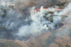 В Одесской области вспыхнул масштабный пожар: горели 15 дачных домов, пострадала женщина