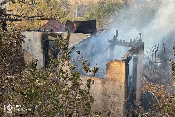 В Одесской области вспыхнул масштабный пожар: горели 15 дачных домов, пострадала женщина