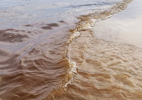 В Одессе покраснело море: что это значит и можно ли купаться В Одессе покраснело море: что это значит и можно ли купаться