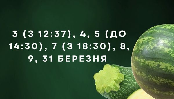 Просто «золоті дні»: відома городниця порадила, коли посіяти овочі у березні (відео)