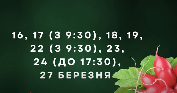 Просто «золоті дні»: відома городниця порадила, коли посіяти овочі у березні (відео)