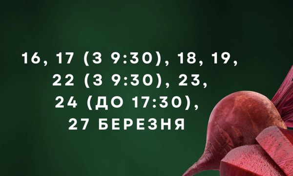Просто «золоті дні»: відома городниця порадила, коли посіяти овочі у березні (відео)