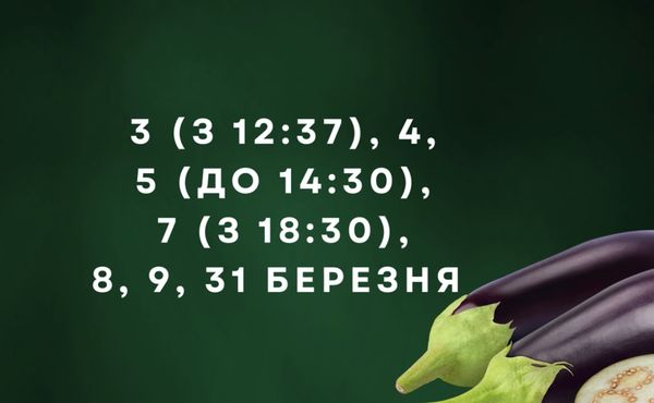 Просто «золоті дні»: відома городниця порадила, коли посіяти овочі у березні (відео)