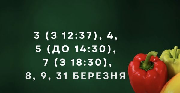 Просто «золоті дні»: відома городниця порадила, коли посіяти овочі у березні (відео)