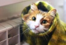 Получи ответ: когда в Одессе и Одесской области завершится отопительный сезон
