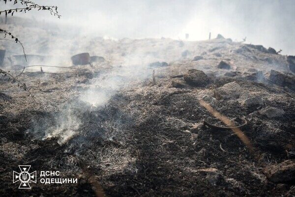 В Одессе чувствовался запах гари: в ГСЧС назвали причину В Одессе чувствовался запах гари: в ГСЧС назвали причину