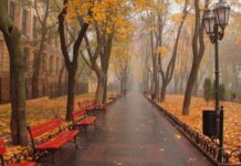 Считанные дни до зимы: какая погода будет в Одессе на этой неделе