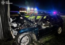 В поселке Авангард в Одесской области сгорело авто: погибли три человека